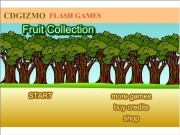 Jouer à Fruit collection