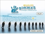 Jouer à Wildlife gimme5 2 images 5 differences