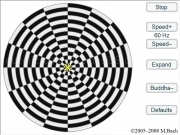 Jouer à Optic illusion concentrate