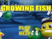 Jouer à Growing fish