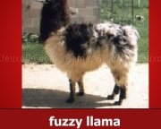 Jouer à The llama song