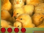Jouer à Baby chickens jigsaw