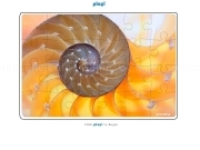 Jouer à Jigsaw Puzzle Spiral Shell