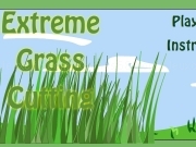 Jouer à Extreme grass cutting