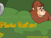 Jouer à Safari