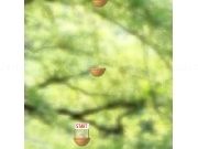 Jouer à Jump coquille