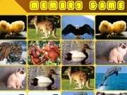 Jouer à Memory game animals