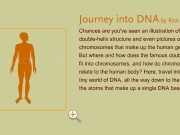 Jouer à Journey into DNA