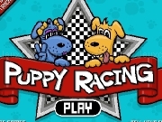 Jouer à Puppy racong