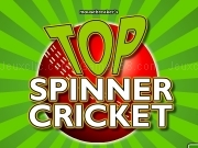 Jouer à Top spinner cricket