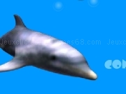 Jouer à Dolphin