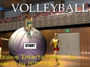 Jouer à Volleyball