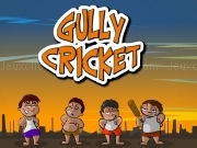 Jouer à Gully cricket
