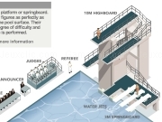 Jouer à How Olympic diving work ?