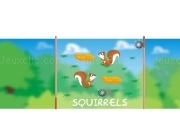 Jouer à Squirrels