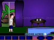 Jouer à Shore acres 2