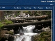 Jouer à Forest waterfall