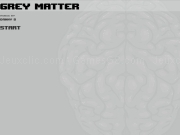 Jouer à Grey matter