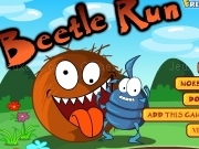 Jouer à Beetle run