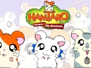Jouer à Hamaro