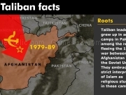 Jouer à Taliban facts
