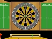 Jouer à Pro darts