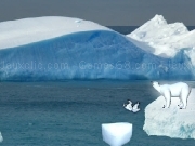 Jouer à Polar bear crossing