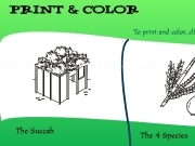 Jouer à Print and color - succah and 4 species