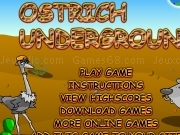 Jouer à Ostrich underground