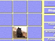 Jouer à Cat match