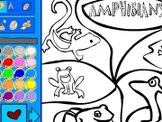Jouer à Amphibians