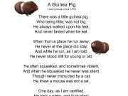 Jouer à A guinea pig