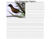 Jouer à The passenger pigeon letter