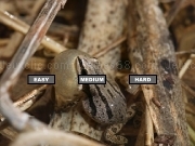 Jouer à Western Chorus Frog Jigsaw