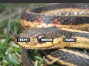 Jouer à Common Garter Snake Jigsaw 2