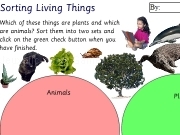Jouer à Sorting living things