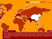 Jouer à Food origins
