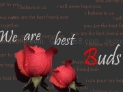 Jouer à We are the best buds