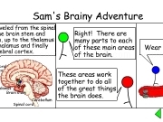 Jouer à Sams brainy adventure