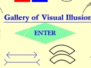 Jouer à Visual illusion gallery