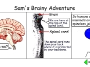 Jouer à Sams brainy adventure 3