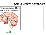 Jouer à Sams brainy adventure 4
