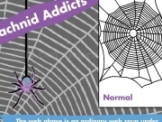Jouer à Arachnid addicts normal