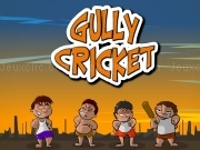 Jouer à Gully cricket