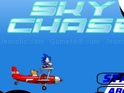 Jouer à Sonic sky chase