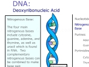 Jouer à Dna interactive