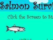 Jouer à Salmon