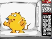 Jouer à Micro gerbil
