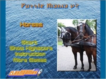 Jouer &agrave; Puzzle mania v2 - horses