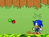 Jouer à Sonic in Garden